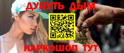 индика Пенза