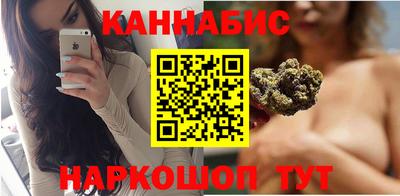 индика Пенза