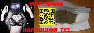 индика Пенза
