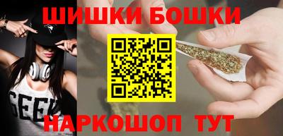 индика Пенза