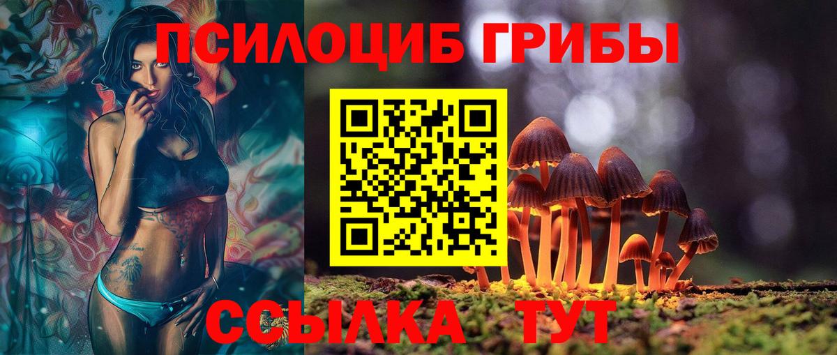 Псилоцибиновые грибы Psilocybe  Вход с VPN  Саров 